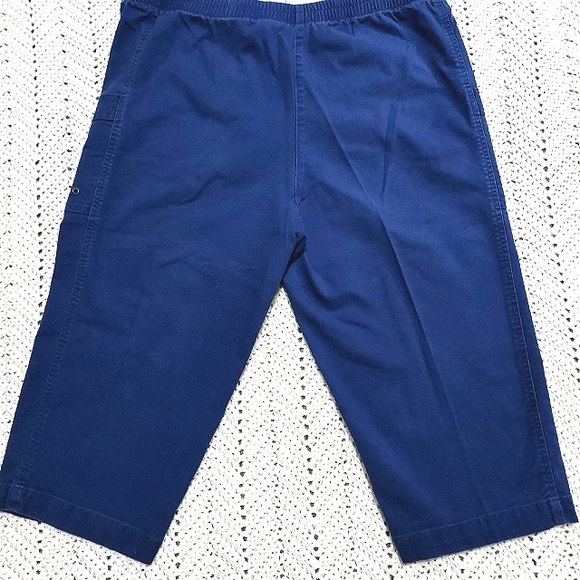 WESTBOUND NAVY CROP PANTS - Picture 3 of 7